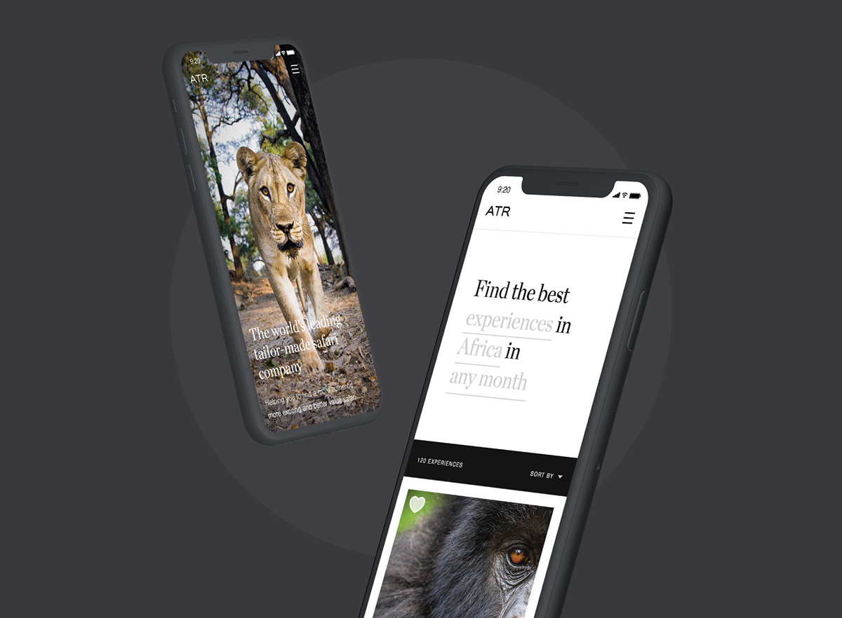 web application design and development